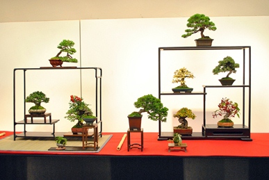 bonsai es suiseki mustra bonsai es suiseki kiallitas az erdi varosi galeriaban hungary marczika bonsai studio